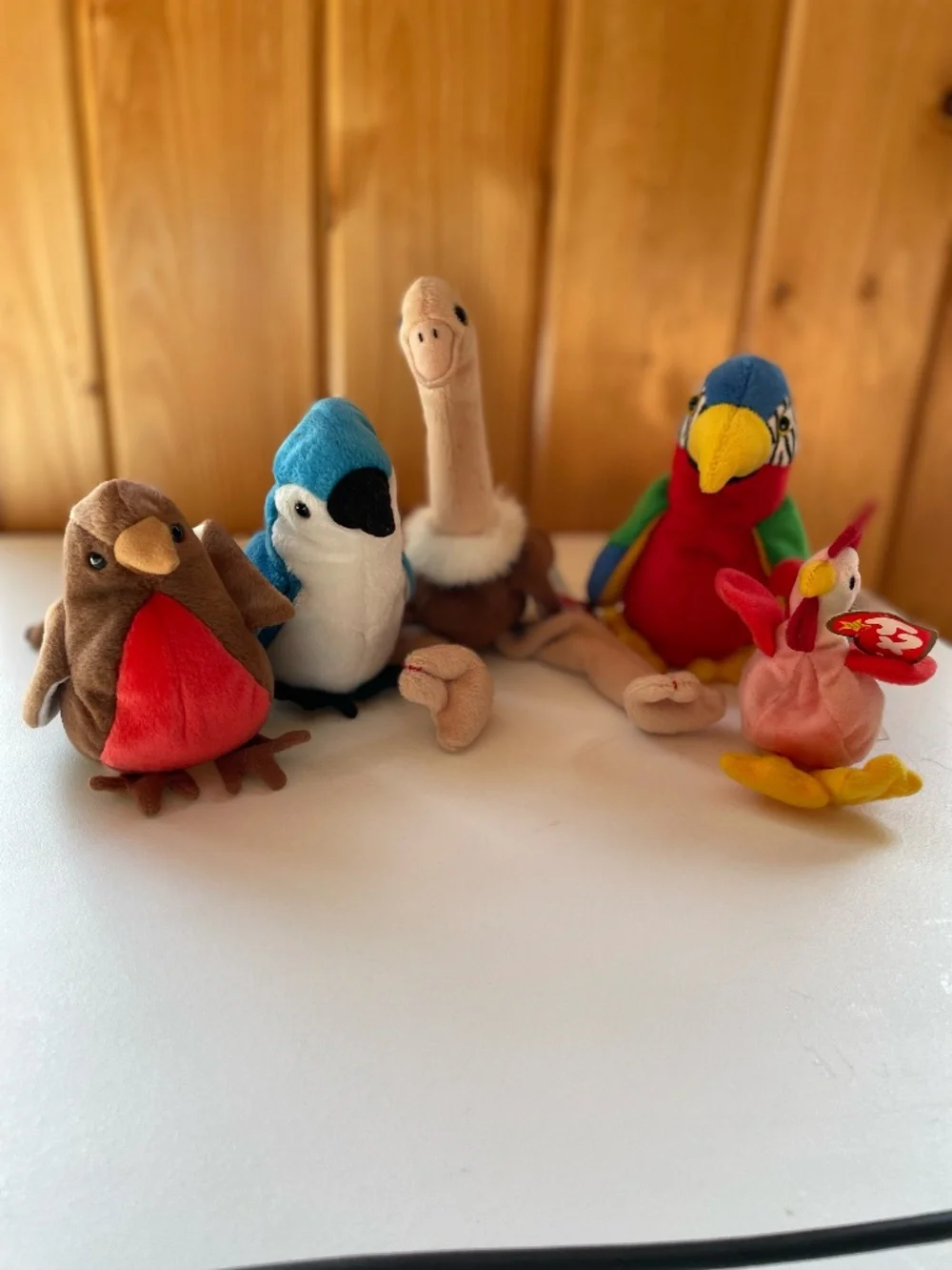 5 Vintage Ty Beanie Babies Birds  - Jabber, Rocket, Early, Stretch, Teenie Strut